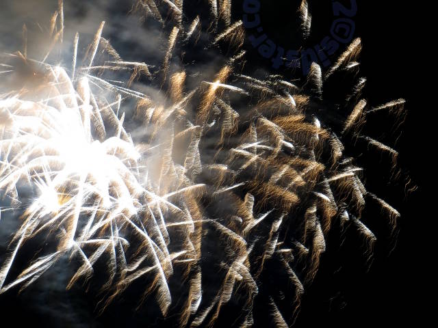 fireworks: palm leaves and strands