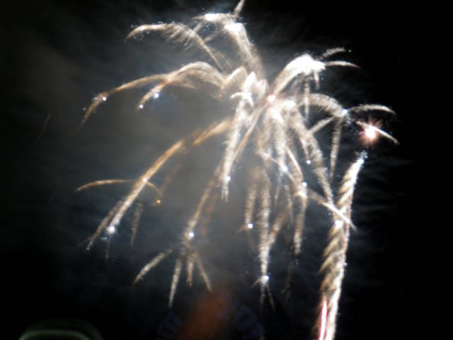 fireworks: palm tree