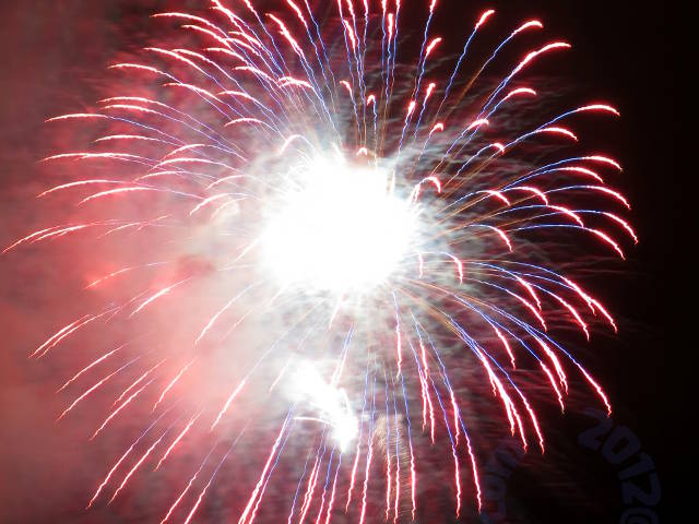 fireworks: dandelion