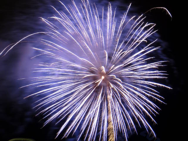 fireworks: blue danelion
